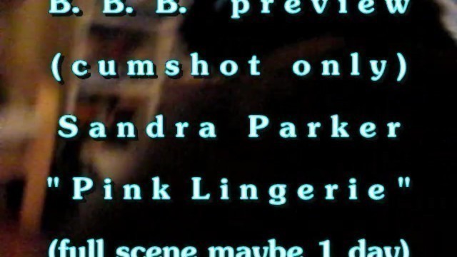 B.B.B. Preview: Sandra Parker "pink Lingerie"(cum Only) AVI no Slomo