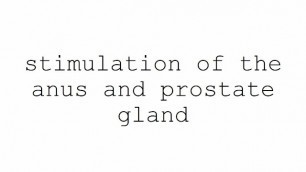 Masturbation Techniques for Men. Stimulation of Anus and Prostate Gland.
