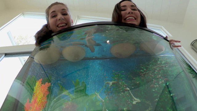 Busty girls Alex Chance and Karlee Grey wets their boobs in the aquarium - Porn Movies - 3Movs